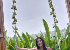 Thai Holiday Companion Baitoey