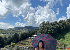 Thai Holiday Companion Baitoey